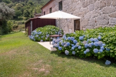 Rental-Holiday-Portugal-Lindo-Private-Terrace-Garden